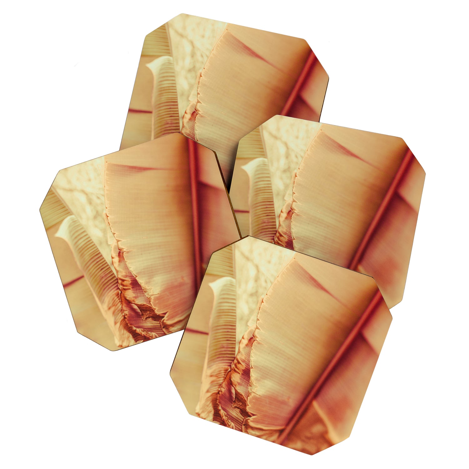 Rosé Coaster Gallery Image 1