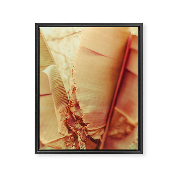 Rosé Framed Canvas Print Gallery Image 1