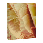 Rosé ll Canvas Print Gallery Image 6