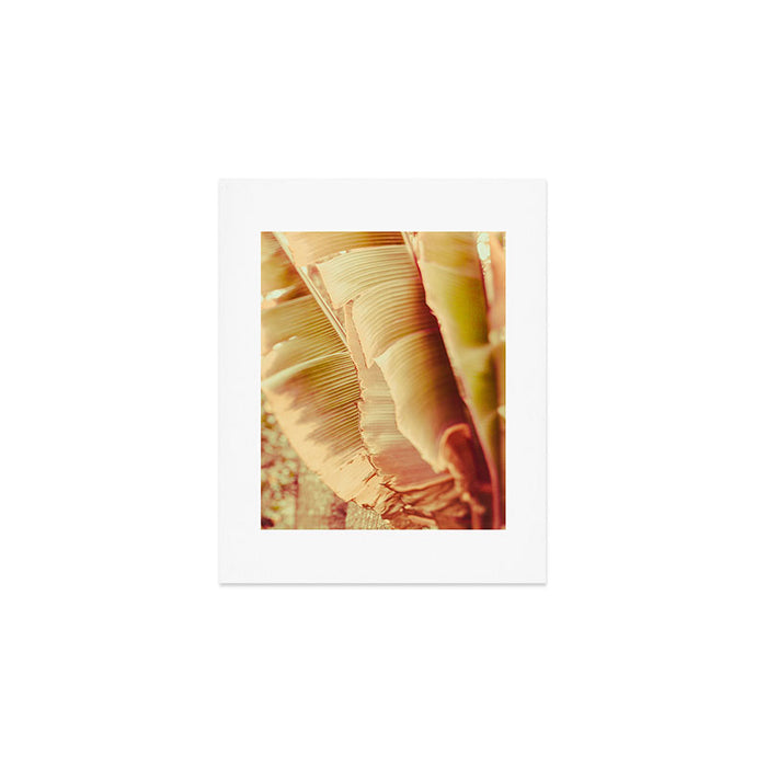 Rosé ll Art Print Gallery Image 1