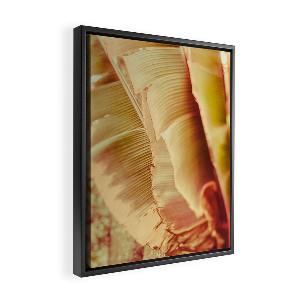 Rosé ll Framed Canvas Print Gallery Image 2