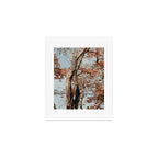Russet - autumn tree photograph fall colors travel cottagecore Art Print Gallery Image 1