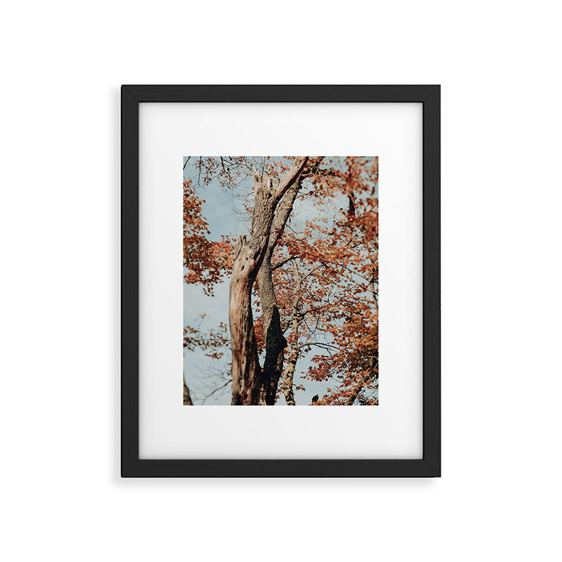 Russet - autumn tree photograph fall colors travel cottagecore Framed Art Print Gallery Image 5