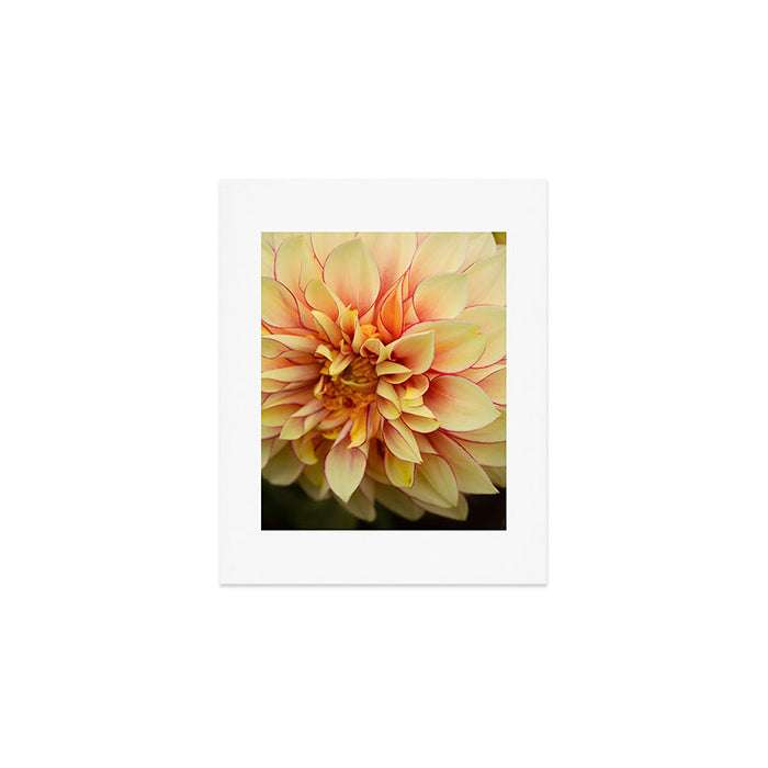 Sanguine - Happy Flower photograph - Modern Dahlia Botanical Art - Floral Art Print Gallery Image 1