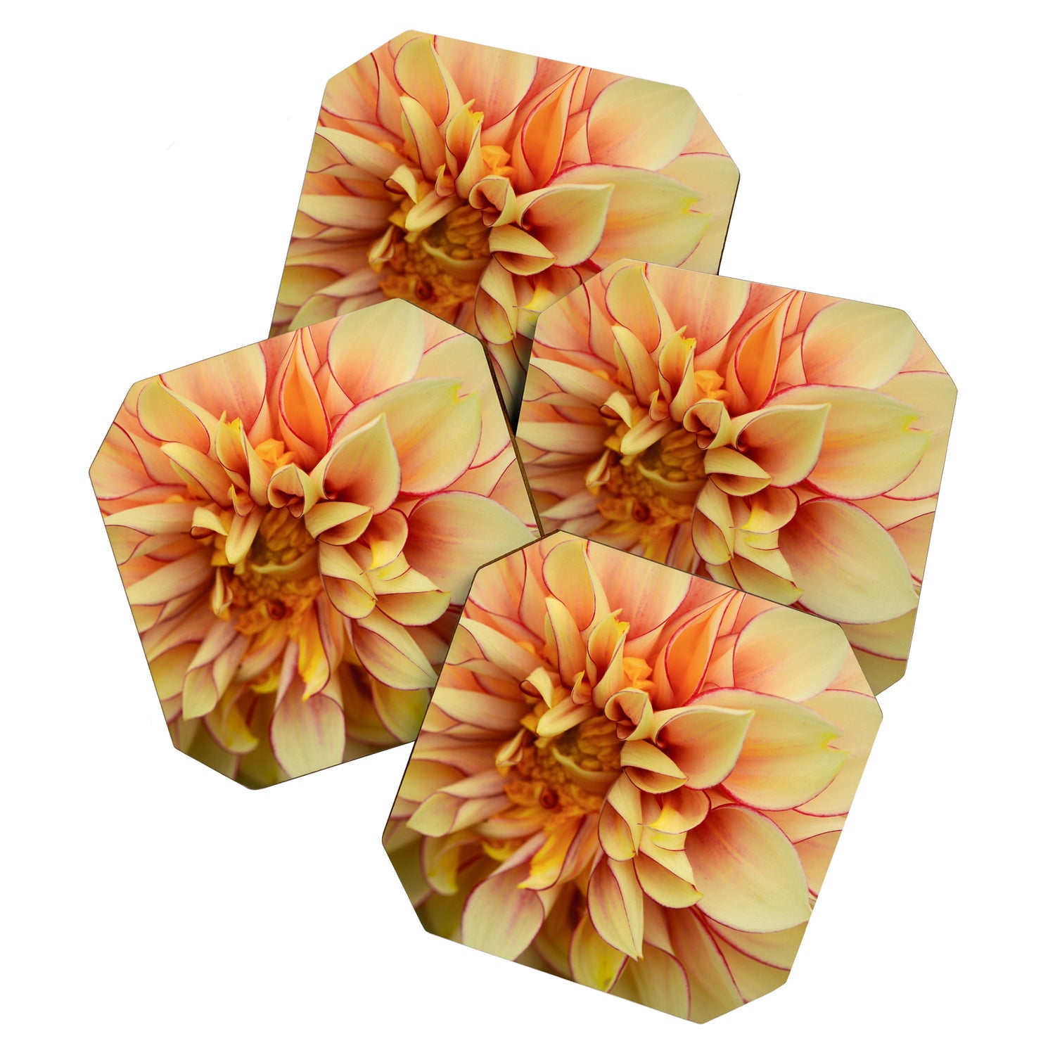 Sanguine - Happy Flower photograph - Modern Dahlia Botanical Art - Floral Coaster Gallery Image 1