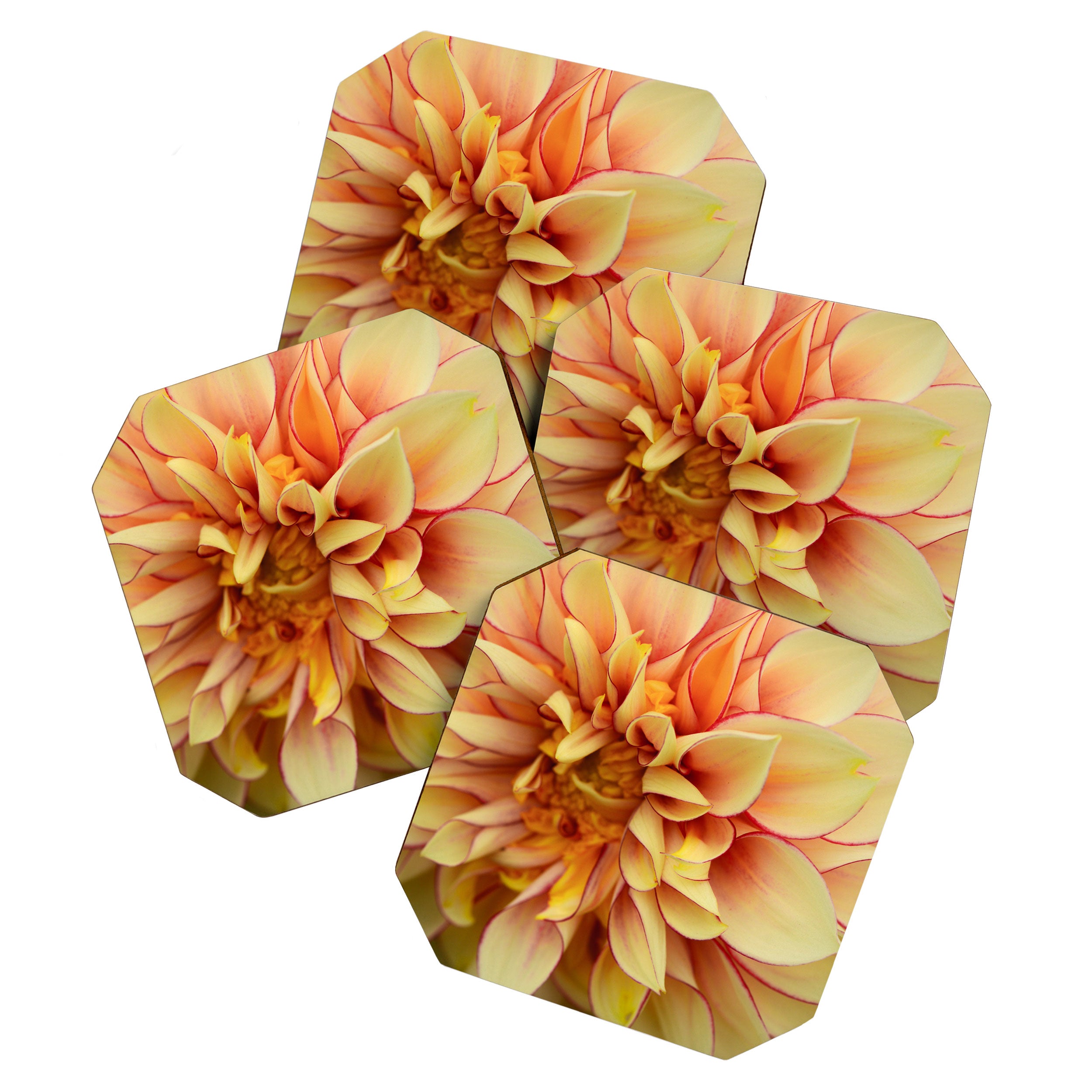 Sanguine - Happy Flower photograph - Modern Dahlia Botanical Art - Floral Coaster Gallery Image 1