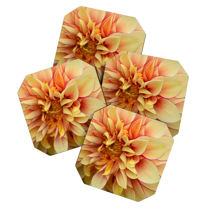 Sanguine - Happy Flower photograph - Modern Dahlia Botanical Art - Floral Coaster Gallery Image 1