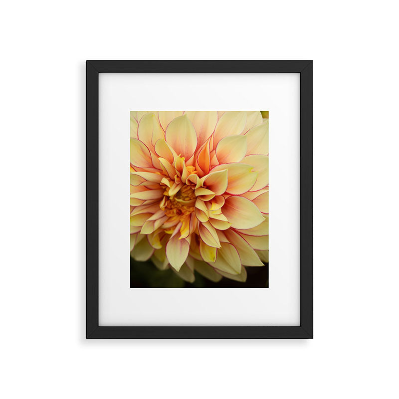 Sanguine - Happy Flower photograph - Modern Dahlia Botanical Art - Floral Framed Art Print Gallery Image 5