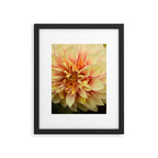 Sanguine - Happy Flower photograph - Modern Dahlia Botanical Art - Floral Framed Art Print Gallery Image 5