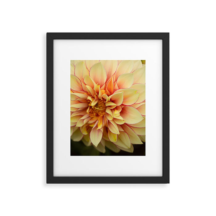 Sanguine - Happy Flower photograph - Modern Dahlia Botanical Art - Floral Framed Art Print Gallery Image 1