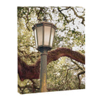 Savannah Street Light Canvas Print Gallery Image 6