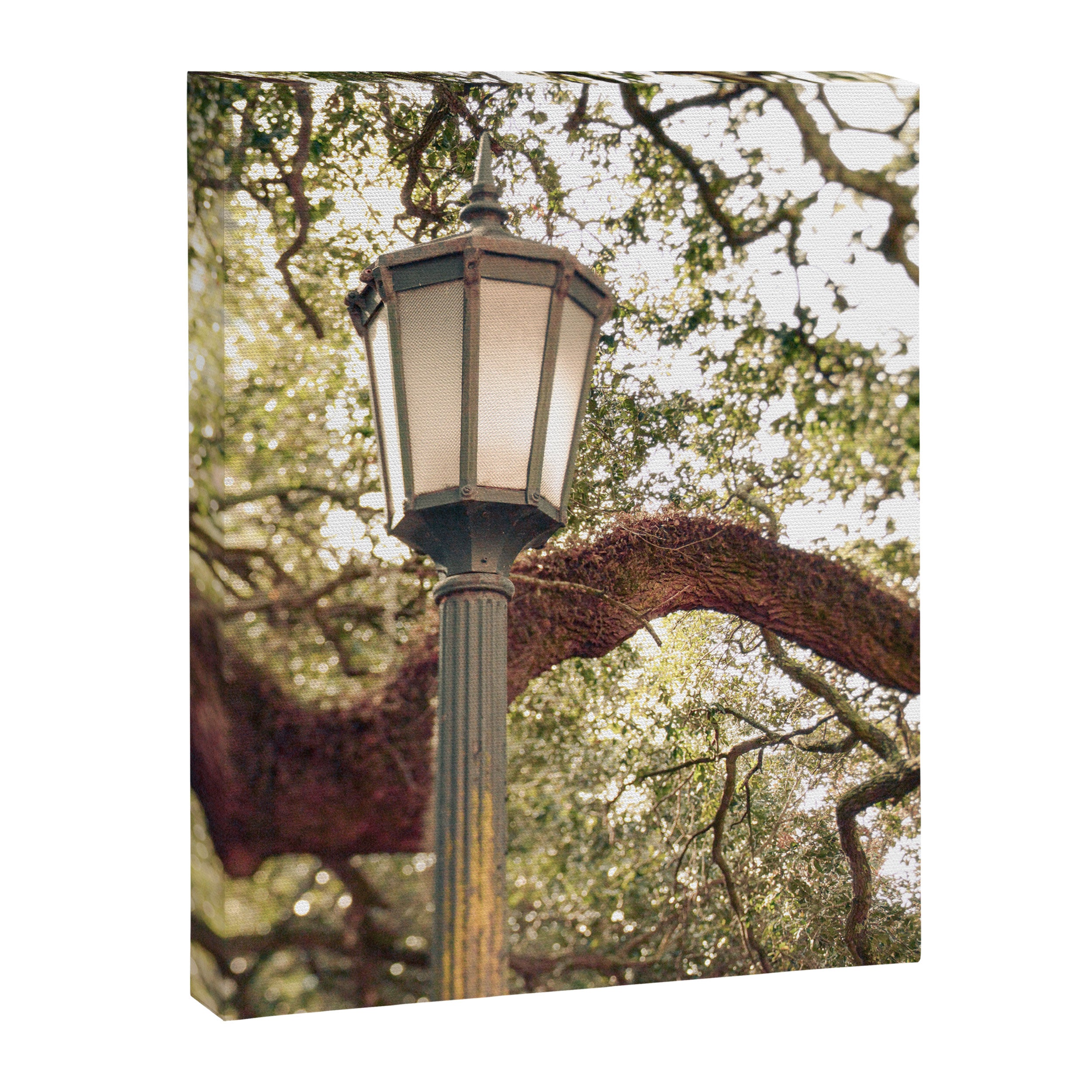 Savannah Street Light Canvas Print Gallery Image 6