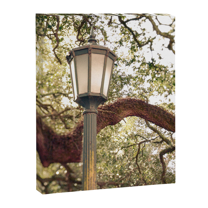 Savannah Street Light Canvas Print Gallery Image 1