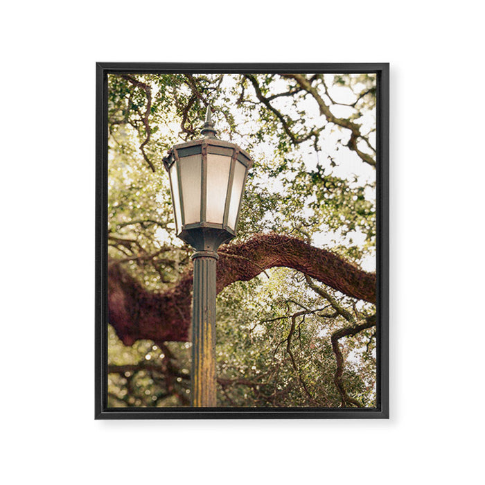 Savannah Street Light Framed Canvas Print Gallery Image 1