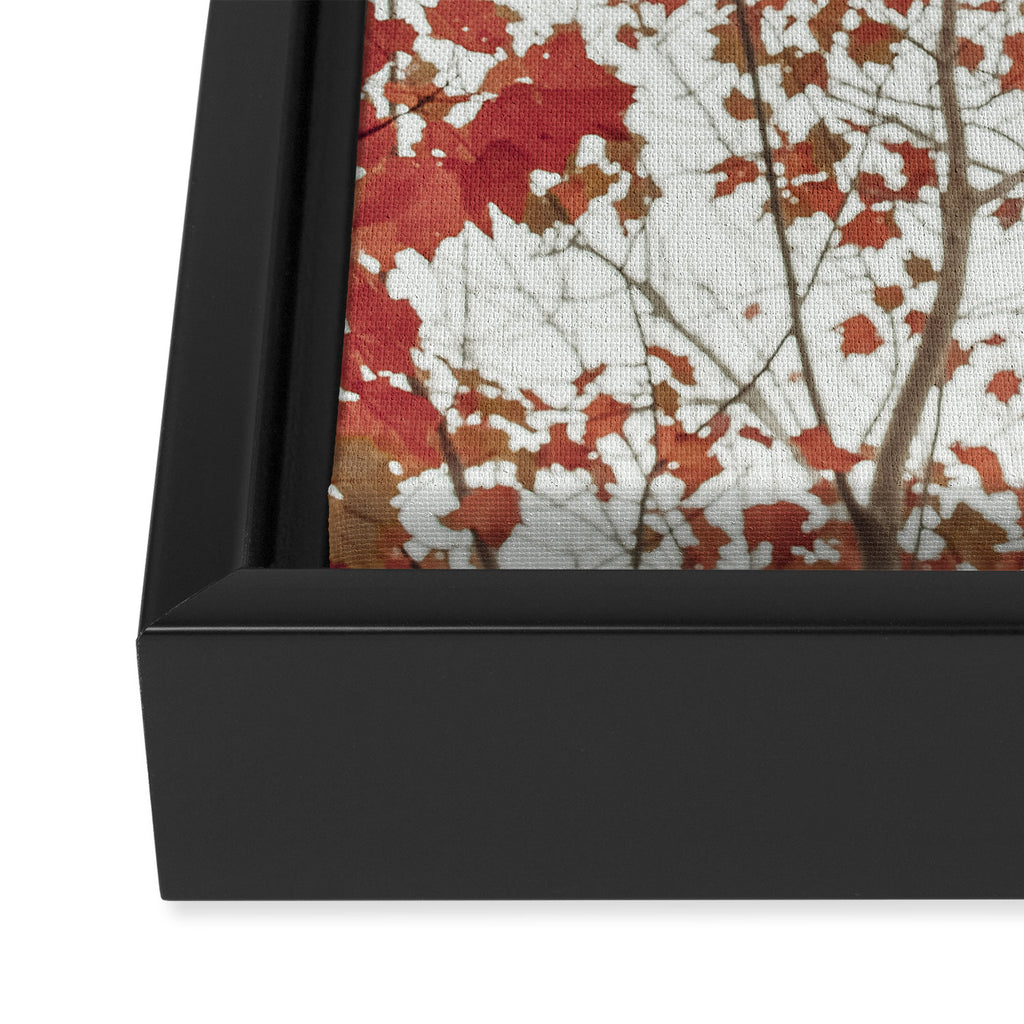 Scarlet x autumn maple tree nature abstract photograph Framed Canvas Print Gallery Image 3