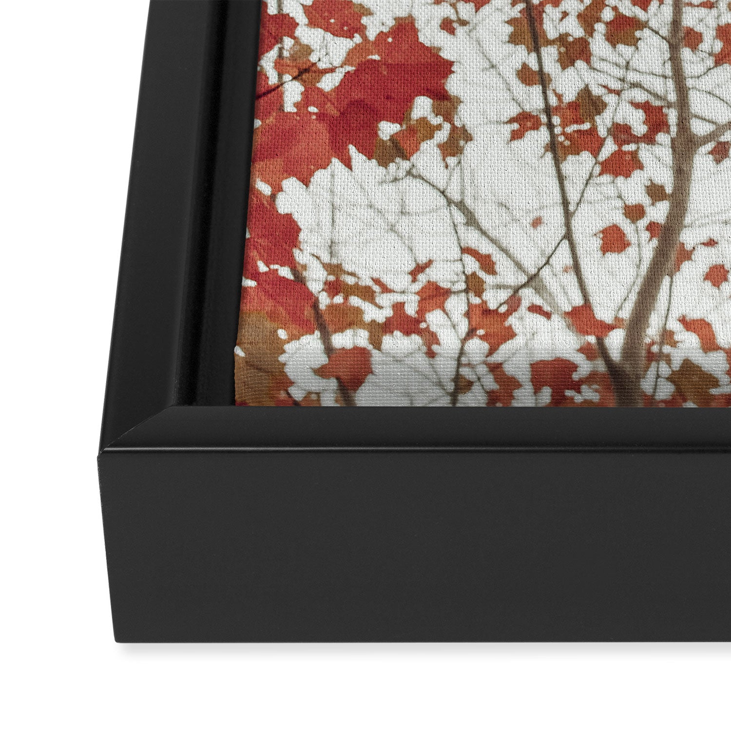 Scarlet x autumn maple tree nature abstract photograph Framed Canvas Print Gallery Image 3