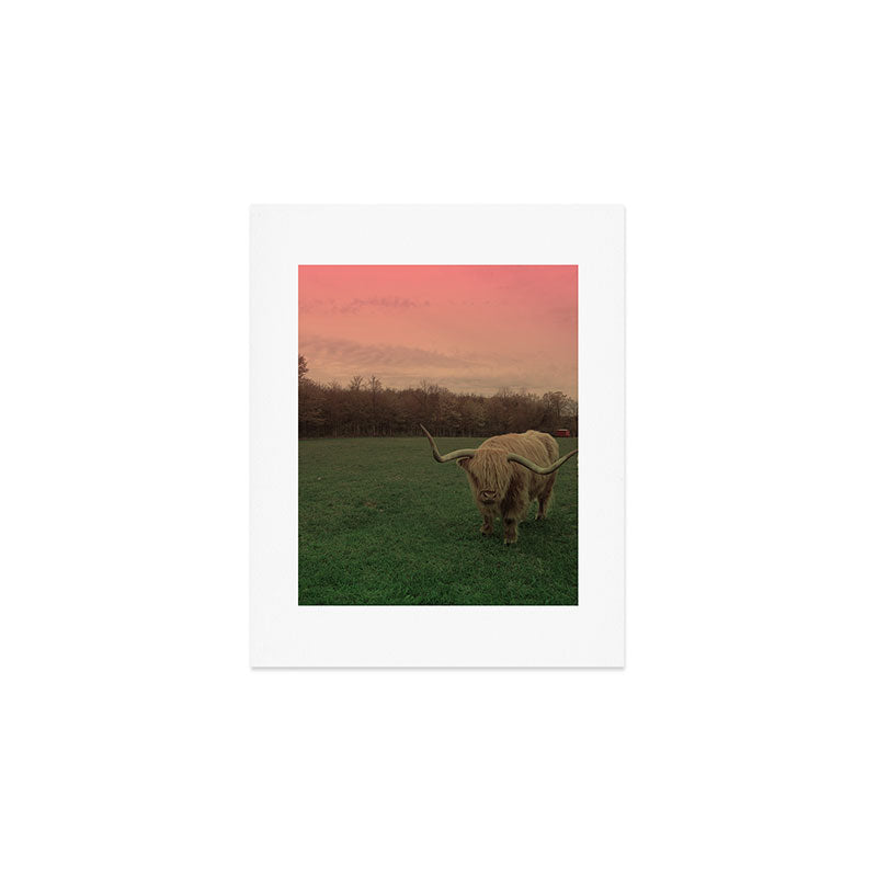 Scottish Highland Steer Art Print Gallery Image 1