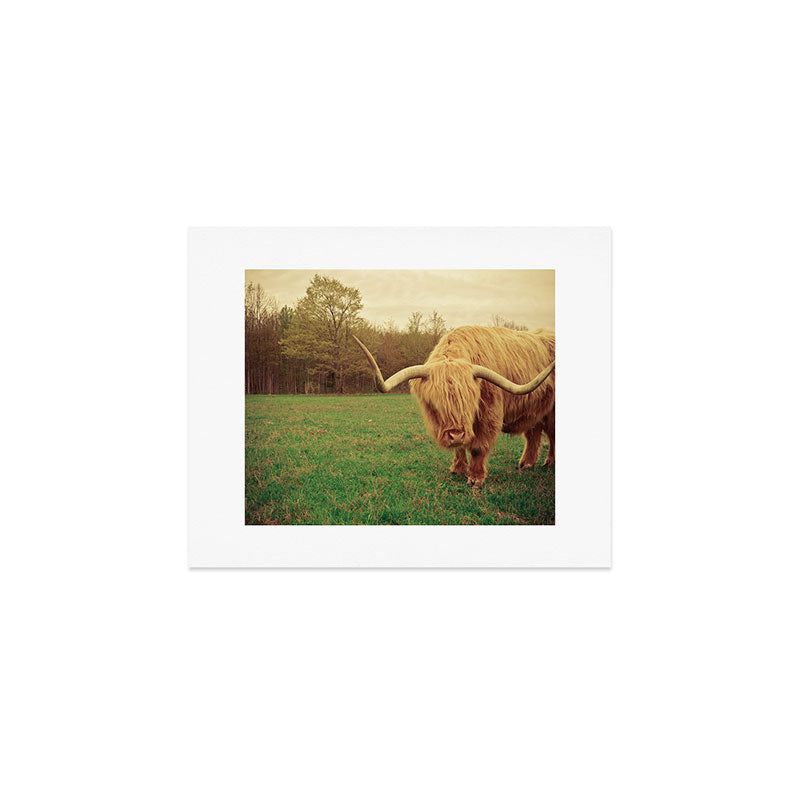 Scottish Highland Steer - regular version Art Print Gallery Image 1
