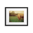 Scottish Highland Steer - regular version Framed Art Print Gallery Image 5