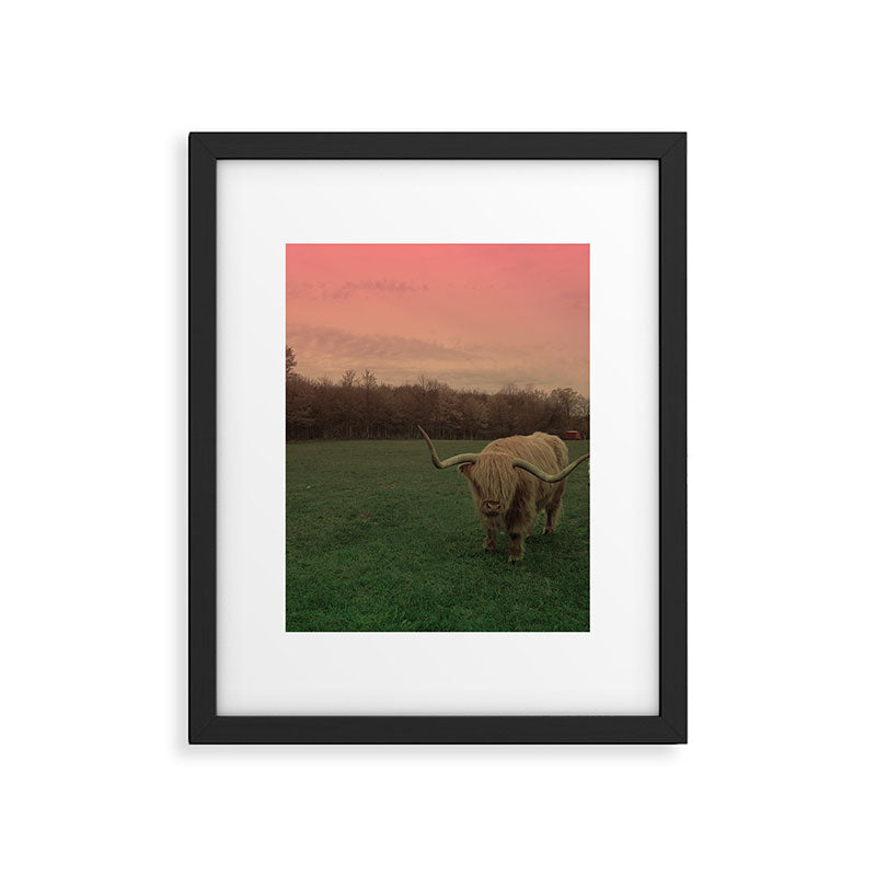 Scottish Highland Steer Framed Art Print Gallery Image 5