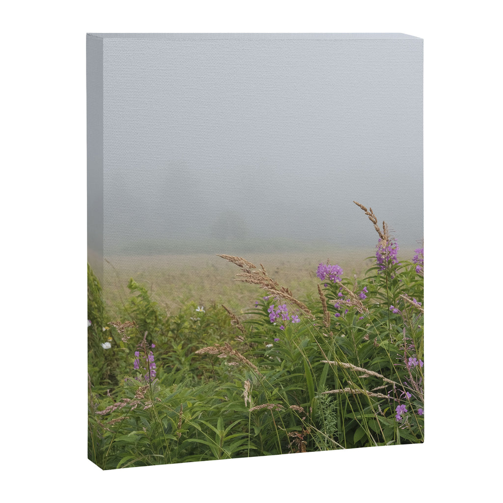 sea fog and wildflowers Canvas Print Gallery Image 6