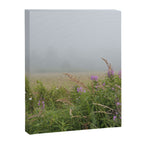 sea fog and wildflowers Canvas Print Gallery Image 6