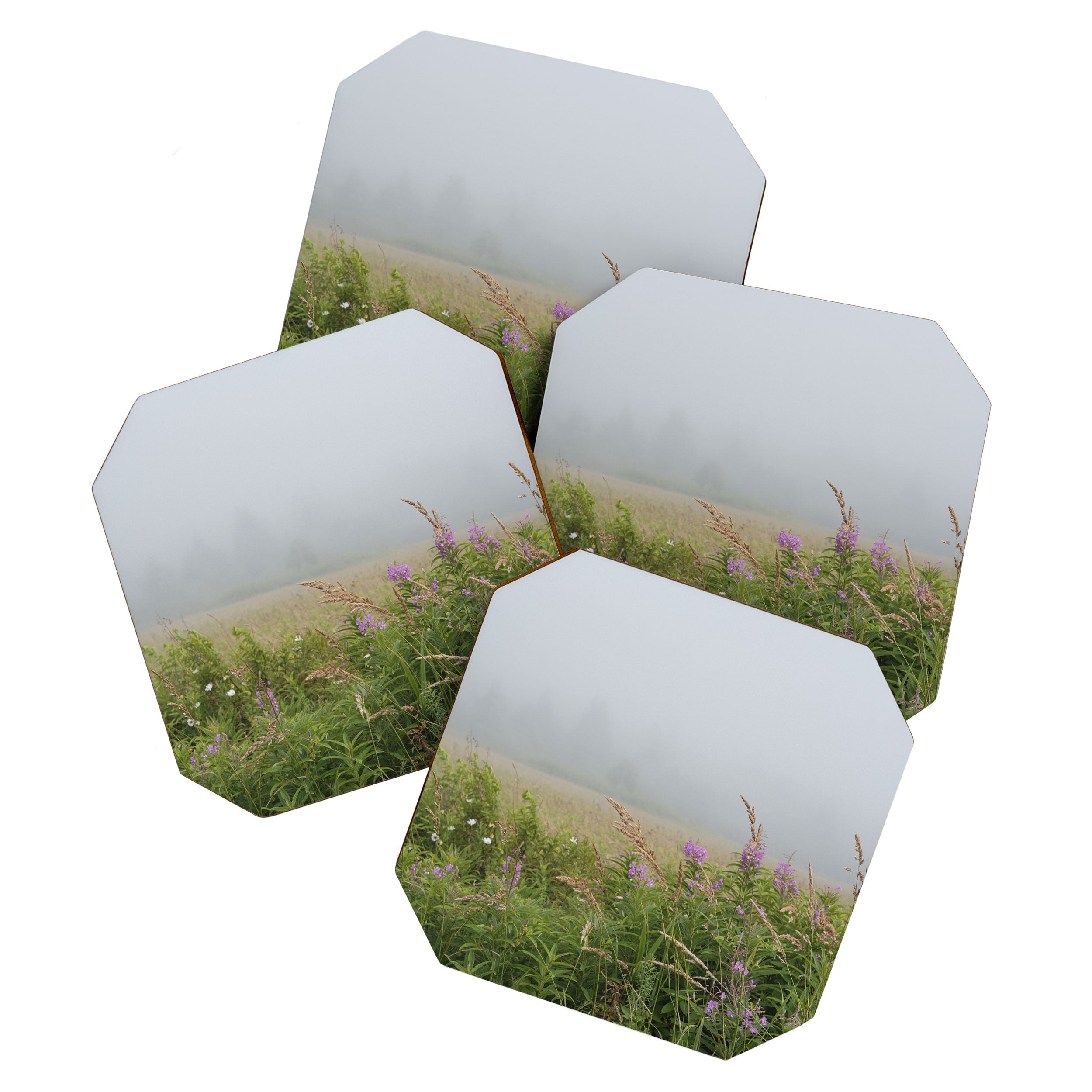 sea fog and wildflowers Coaster Gallery Image 1