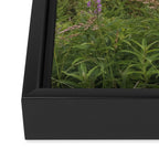 sea fog and wildflowers Framed Canvas Print Gallery Image 3