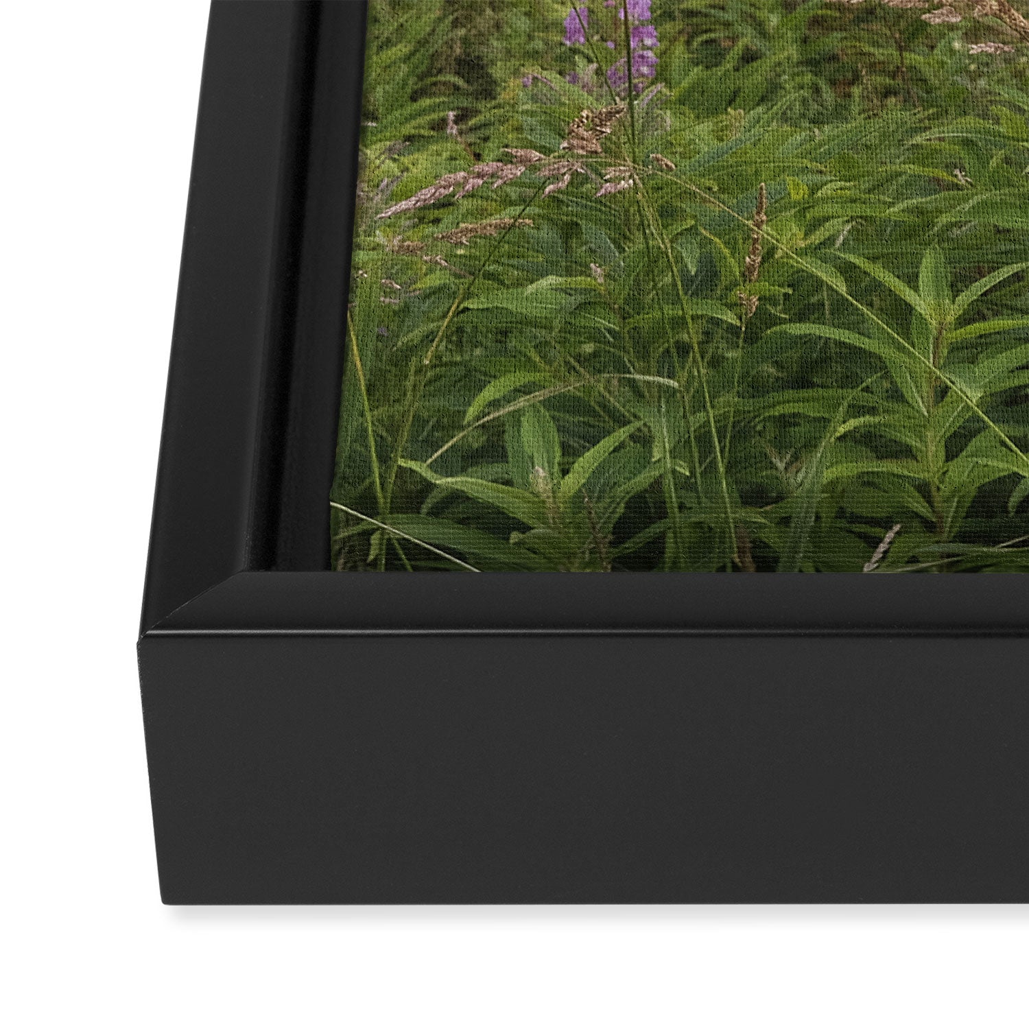 sea fog and wildflowers Framed Canvas Print Gallery Image 3