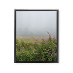 sea fog and wildflowers Framed Canvas Print Gallery Image 6
