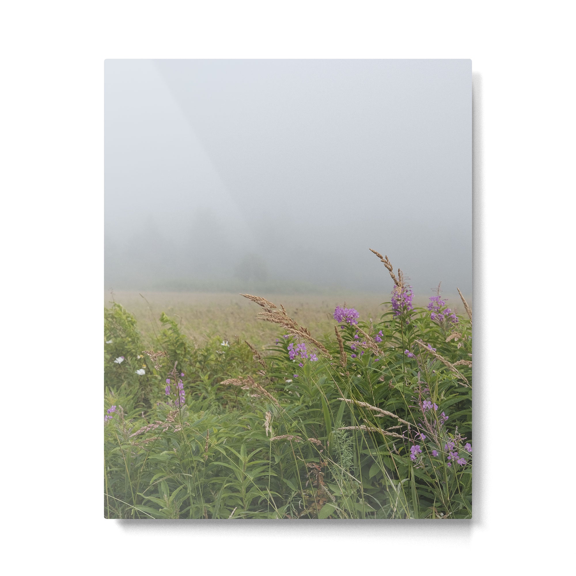 sea fog and wildflowers Metal Print Gallery Image 4
