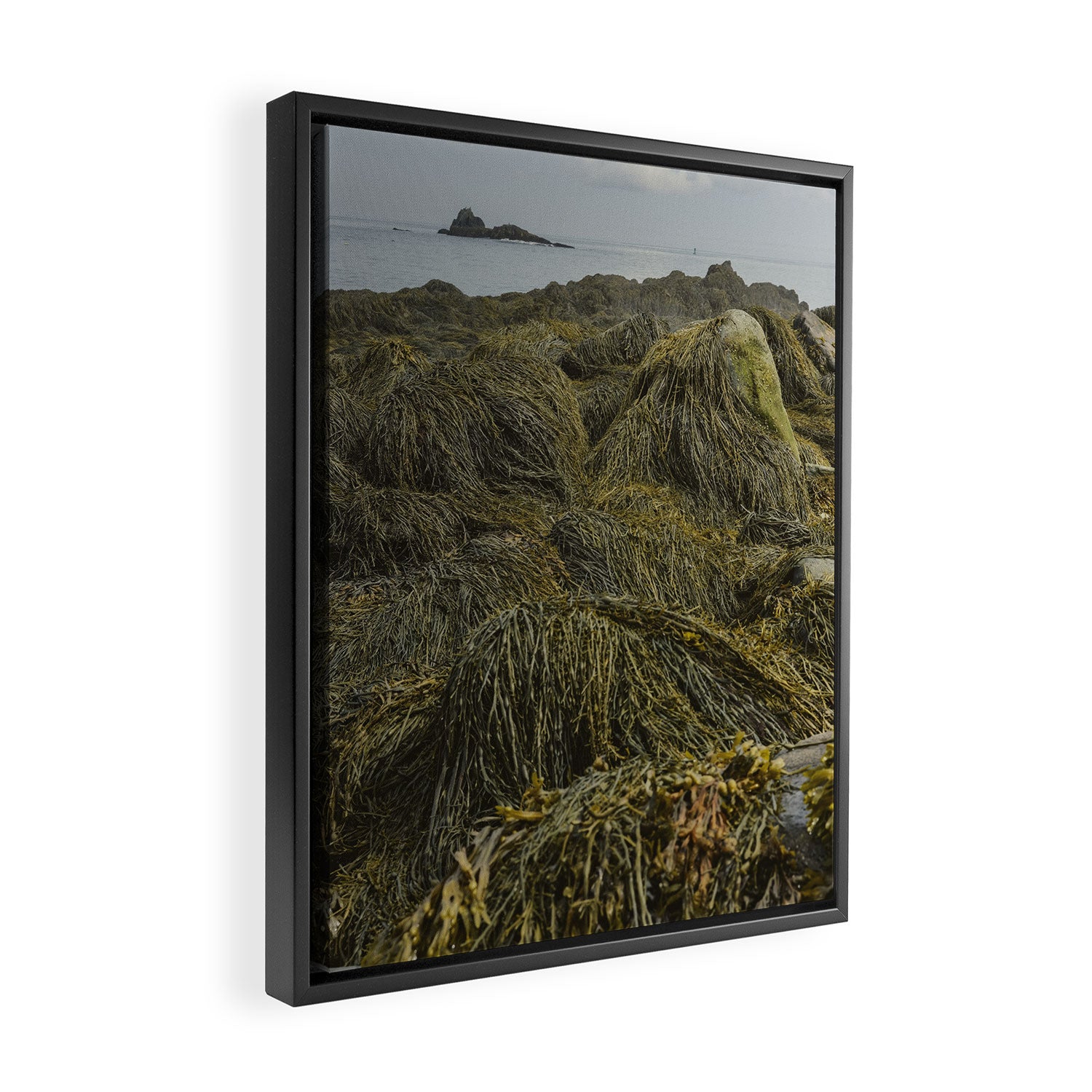 Seaweed - ocean nature photograph Framed Canvas Print Gallery Image 2
