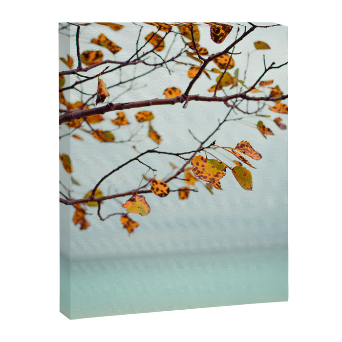 Serendipity Canvas Print Gallery Image 1