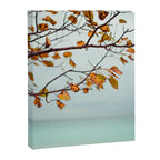 Serendipity Canvas Print Gallery Image 6