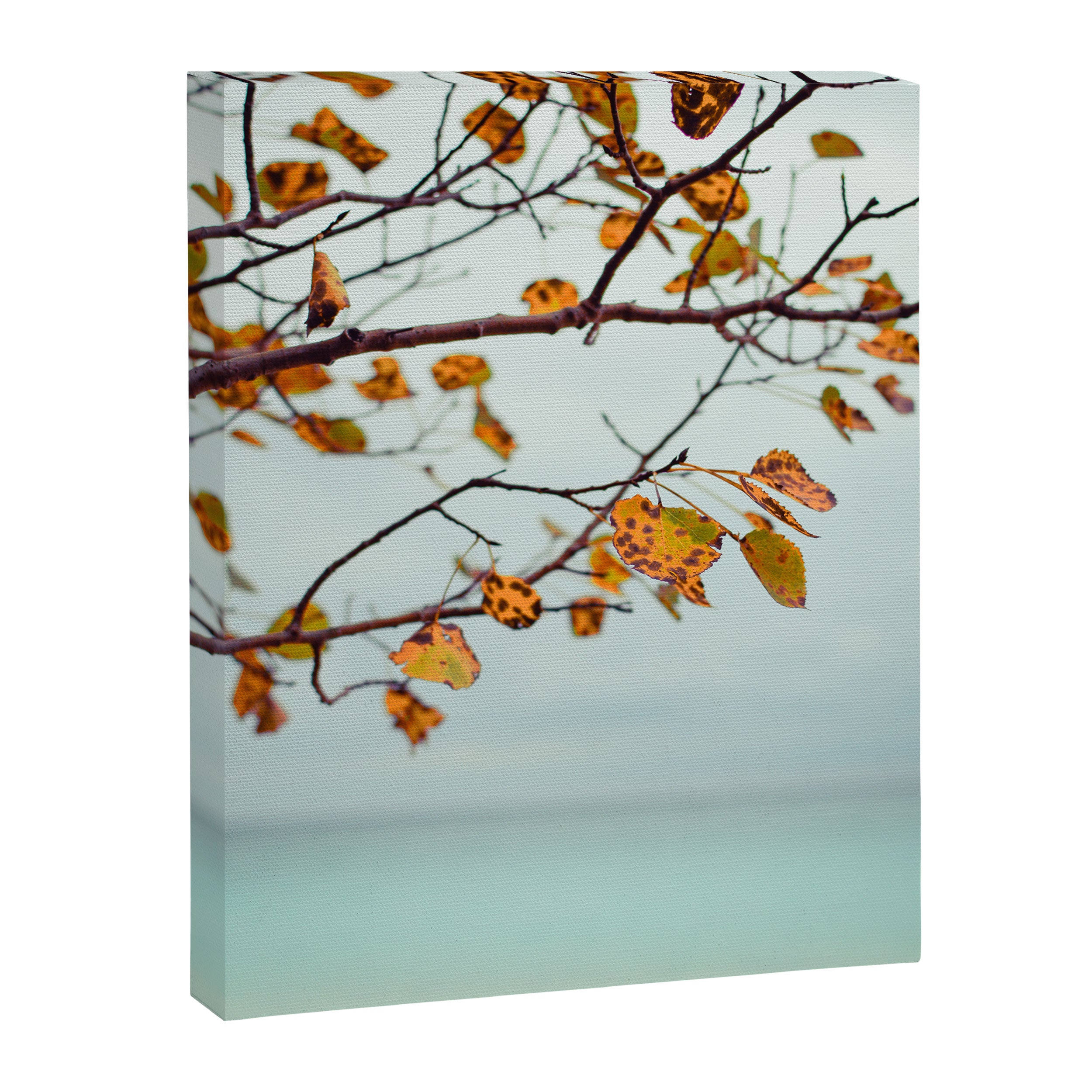 Serendipity Canvas Print Gallery Image 6