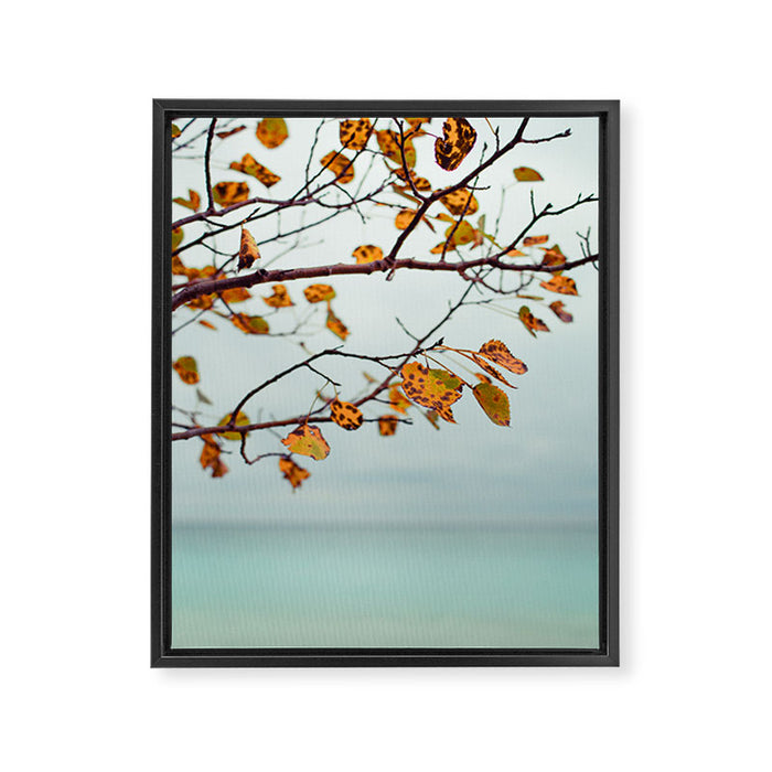 Serendipity Framed Canvas Print Gallery Image 1