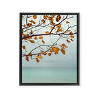 Serendipity Framed Canvas Print Gallery Image 6