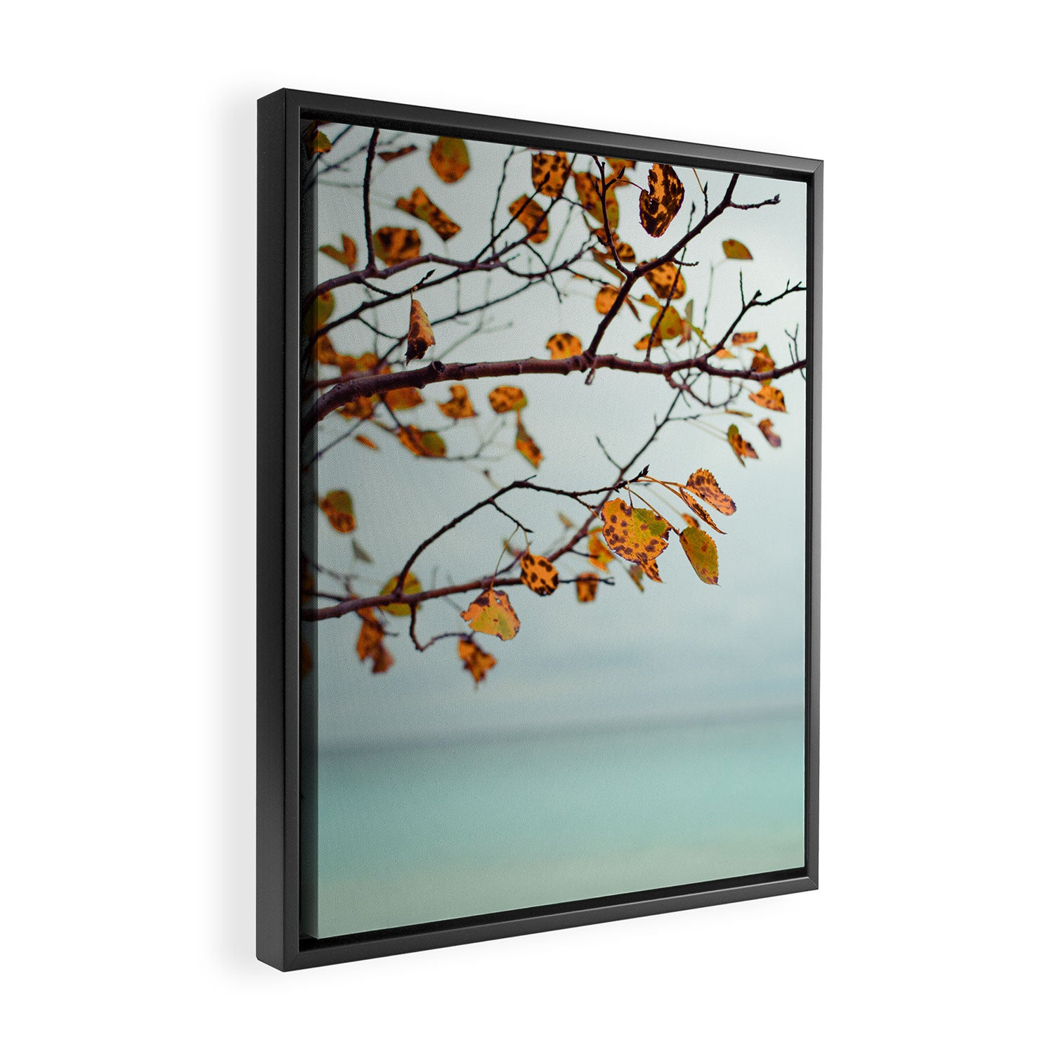 Serendipity Framed Canvas Print Gallery Image 2