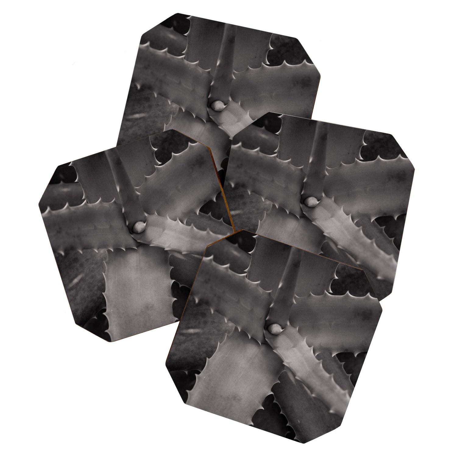 Serrated - Modern Black and White Botanical Coaster Gallery Image 1
