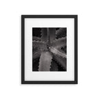 Serrated - Modern Black and White Botanical Framed Art Print Gallery Image 5