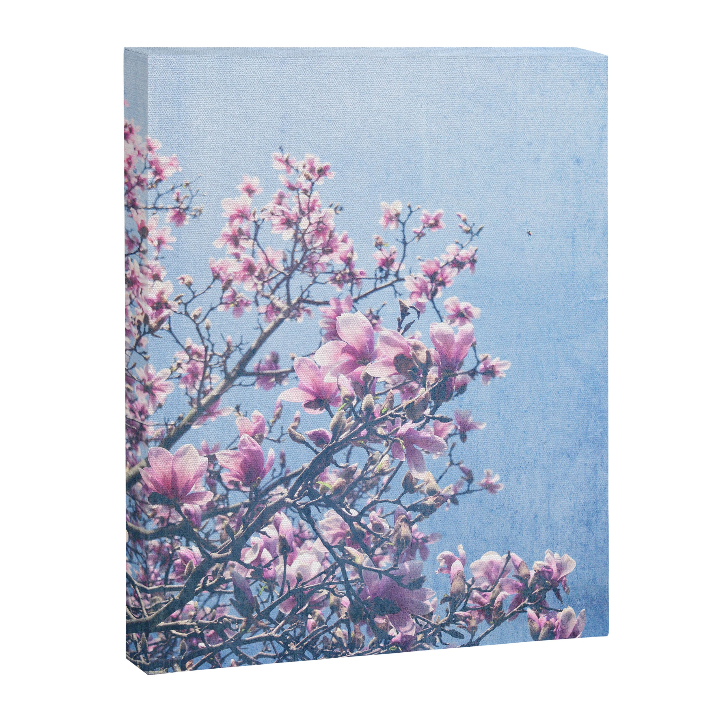 She Bloomed Everywhere She Went Canvas Print Gallery Image 6
