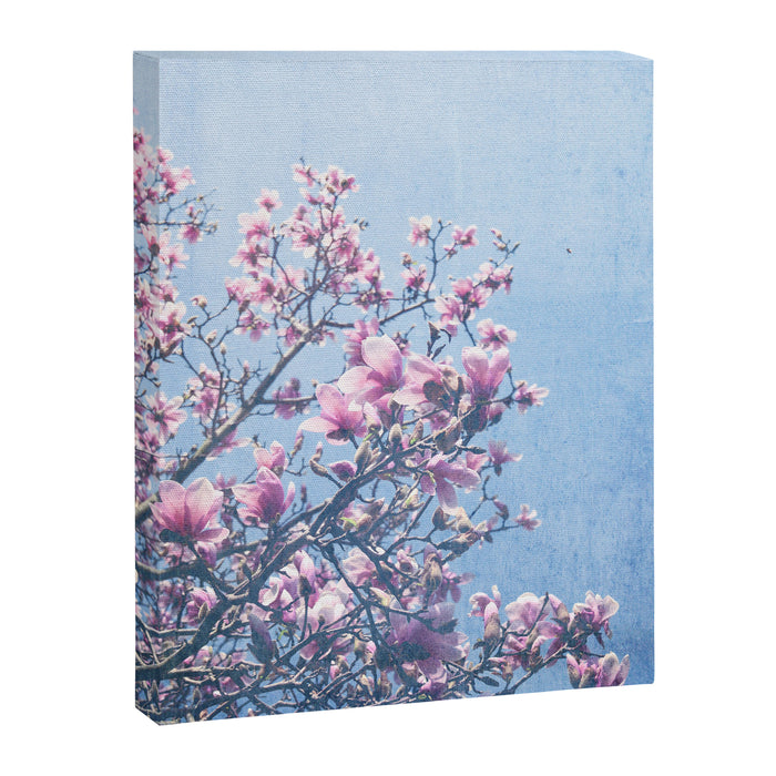 She Bloomed Everywhere She Went Canvas Print Gallery Image 1
