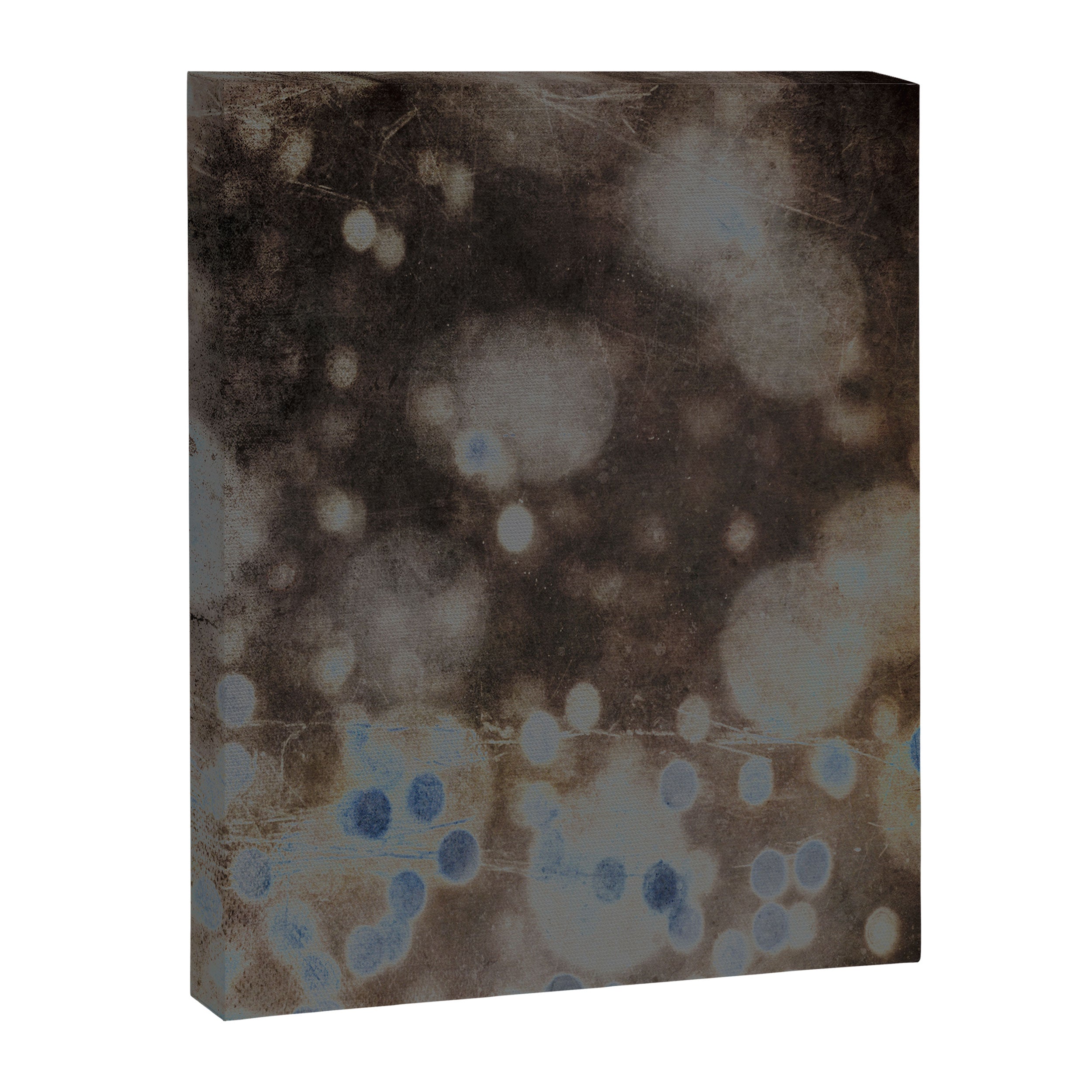 She Had Times When Her Soul Was Quiet and a Little Blue Canvas Print Gallery Image 6