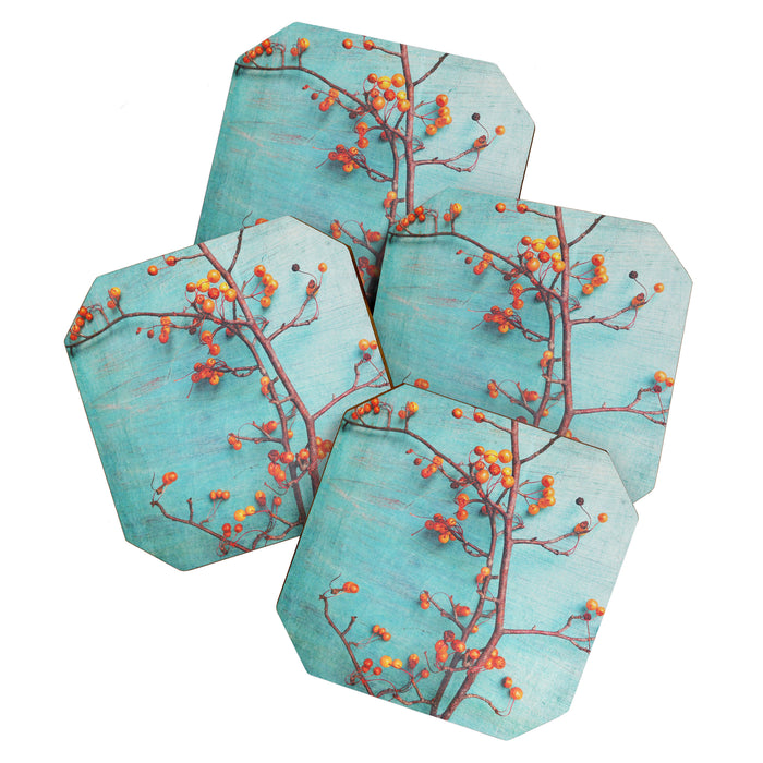 She Hung Her Dreams on Branches - autumn botanical still life photo cottage decor Coaster Gallery Image 1