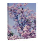 She Was an Introvert with a Beautiful Universe Inside Canvas Print Gallery Image 6