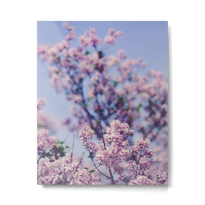 She Was an Introvert with a Beautiful Universe Inside Metal Print Gallery Image 1