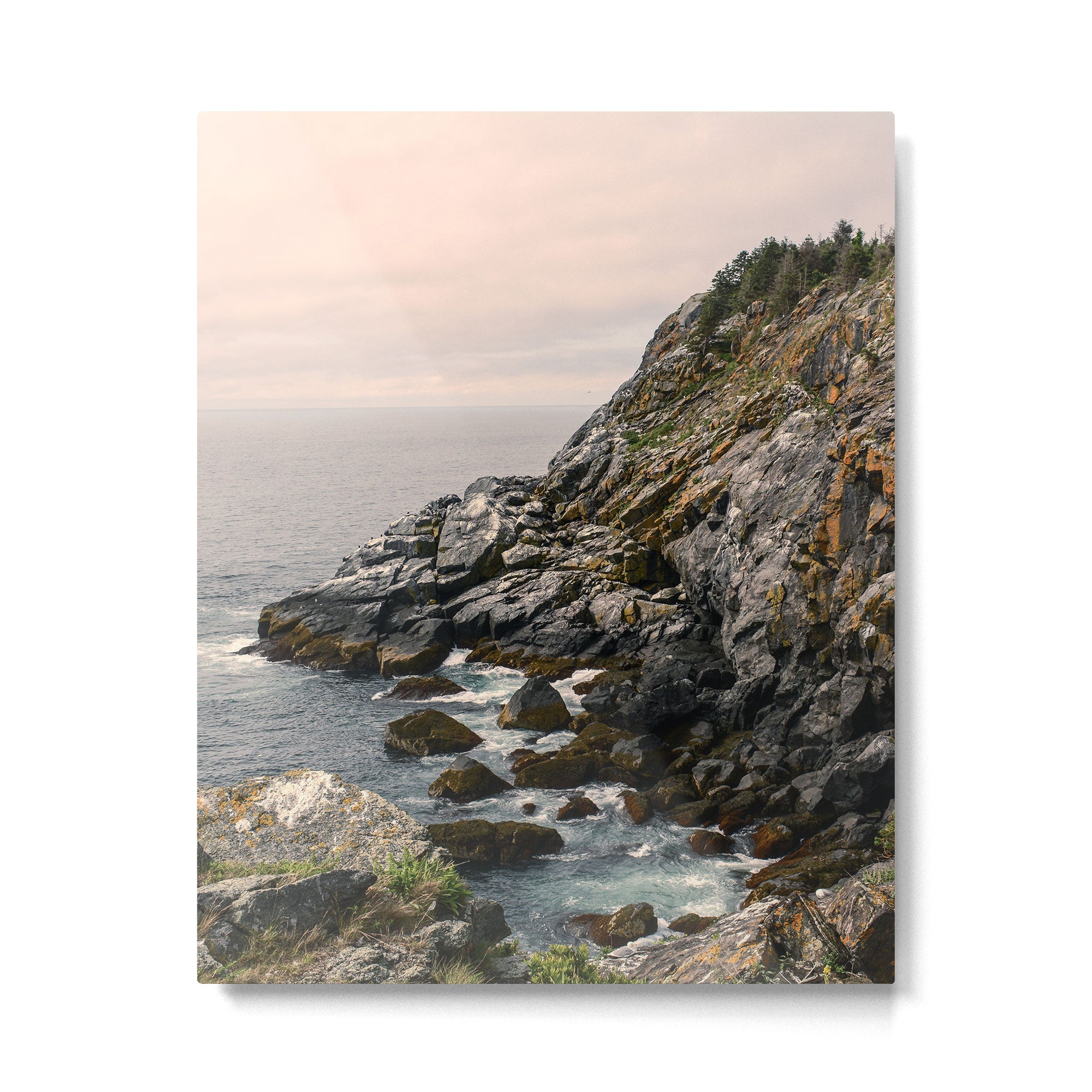 She Was Drawn to Wild Places Metal Print Gallery Image 4