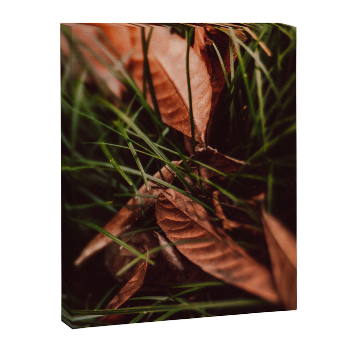 Shelter Canvas Print Gallery Image 1