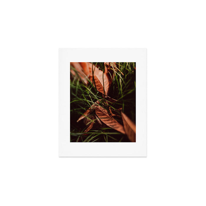 Shelter Art Print Gallery Image 1