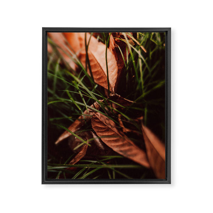 Shelter Framed Canvas Print Gallery Image 1